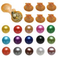 "Akoya Cultured Sea Pearl Oyster Beads", Akoya dirbtiniu būdu išauginti perlai, Bulvė, mišrios spalvos, 7-8mm, 15kompiuteriai/Krepšys, Pardavė Krepšys