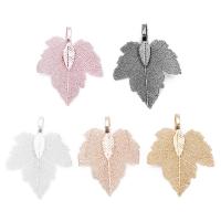 Brass Jewelry Pendants, Leaf, plated, more colors for choice, nickel, lead & cadmium free, 27x35mm, Hole:Approx 2-4mm, 2PCs/Bag, Sold By Bag
