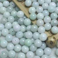 Natural Jadeite Beads, Round, 10mm, Hole:Approx 1mm, 10PCs/Lot, Sold By Lot