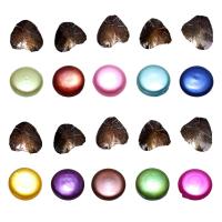 Freshwater Cultured Love Wish Pearl Oyster Freshwater Pearl Button Shape mixed colors 12-13mm Sold By Lot