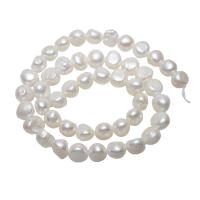 Barock odlad sötvattenspärla pärlor, Freshwater Pearl, naturlig, vit, 10-11mm, Hål:Ca 0.8mm, Såld Per Ca 15.5 inch Strand