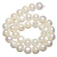 Cultured Round Freshwater Pearl Beads, natural, white, 11-13mm, Hole:Approx 0.8mm, Sold Per Approx 15 Inch Strand