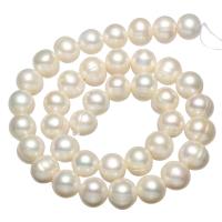 Perlas Patata Freshwater, Perlas cultivadas de agua dulce, con rosca, Blanco, 11-12mm, agujero:aproximado 0.8mm, Vendido para aproximado 15.7 Inch Sarta