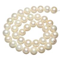 Perles de nacre rondes de culture d'eau douce, perle d'eau douce cultivée, naturel, blanc, 11-12mm, Trou:Environ 0.8mm, Vendu par Environ 15.7 pouce brin