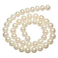 Perles de nacre rondes de culture d'eau douce, perle d'eau douce cultivée, naturel, blanc, grade AAA, 9-10mm, Trou:Environ 0.8mm, Vendu par Environ 15 pouce brin