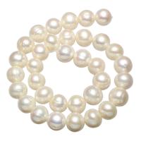 Perlas Patata Freshwater, Perlas cultivadas de agua dulce, natural, Blanco, 12-13mm, agujero:aproximado 0.8mm, Vendido para aproximado 15 Inch Sarta
