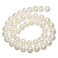 Perlas Redondas Freshwater, Perlas cultivadas de agua dulce, Esférico, natural, Blanco, 10-11mm, agujero:aproximado 0.8mm, Vendido para aproximado 15.7 Inch Sarta