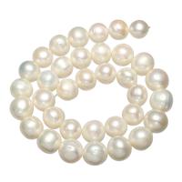 Perlas Patata Freshwater, Perlas cultivadas de agua dulce, natural, Blanco, 12-13mm, agujero:aproximado 0.8mm, Vendido para aproximado 15.3 Inch Sarta