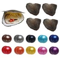 Oyster & Wish Pearl Kit Freshwater Pearl Potato Twins Wish Pearl Oyster mixed colors 7-8mm Sold By Bag