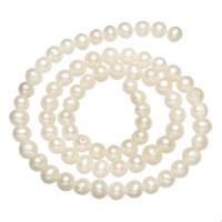 Perles de nacre rondes de culture d'eau douce, perle d'eau douce cultivée, naturel, longueur différente pour le choix, blanc, 5-6mm, Trou:Environ 0.8mm, Vendu par brin