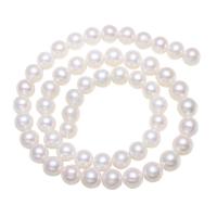 Cultured Round Freshwater Pearl Beads, natural, white, Grade AA, 7-8mm, Hole:Approx 0.8mm, Sold Per Approx 15 Inch Strand