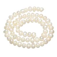 Perlas Redondas Freshwater, Perlas cultivadas de agua dulce, Esférico, natural, Blanco, 5-6mm, agujero:aproximado 0.8mm, Vendido para aproximado 14 Inch Sarta