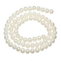 Runde ferskvandskulturperle Beads, Ferskvandsperle, naturlig, hvid, 5-6mm, Hole:Ca. 0.8mm, Solgt Per Ca. 15.5 inch Strand