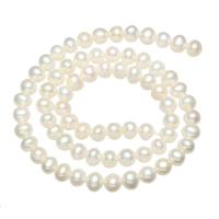 Perlas Redondas Freshwater, Perlas cultivadas de agua dulce, Esférico, natural, Blanco, Grado AA, 5-6mm, agujero:aproximado 0.8mm, Vendido para aproximado 15.5 Inch Sarta