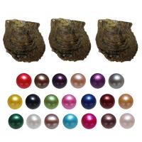 Akoya Cultured Sea Pearl Oyster Beads , Akoya Cultured Pearls, Potato, mixed colors, 7-8mm, 20PCs/Bag, Sold By Bag
