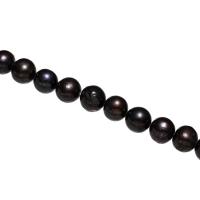 Cultured Round Freshwater Pearl Beads, natural, white, 11-12mm, Hole:Approx 0.8mm, Sold Per Approx 15.3 Inch Strand