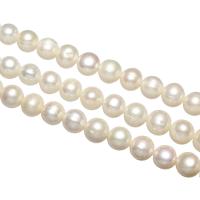 Baroko Kultūringas gėlavandenių perlų karoliukai, Gėlo vandens perlų, natūralus, įvairių stilių pasirinkimas, baltas, 10-11mm, Skylė:Apytiksliai 0.8mm, Parduota už Apytiksliai 14.3 Inch, Apytiksliai 15 Inch Strand