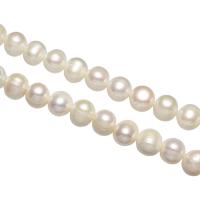 Perles de nacre rondes de culture d'eau douce, perle d'eau douce cultivée, naturel, styles différents pour le choix, blanc, 10-11mm, Trou:Environ 0.8mm, Vendu par Environ 15.7 pouce brin