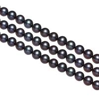 Turno coltivate in acqua dolce Perla, perla d'acquadolce coltivata naturalmente, Cerchio, nero, AAA Grade, 8-9mm, Foro:Appross. 0.8mm, Venduto per Appross. 16 pollice filo