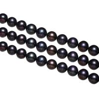 Perlas Redondas Freshwater, Perlas cultivadas de agua dulce, Esférico, Negro, 11-12mm, agujero:aproximado 0.8mm, Vendido para aproximado 15 Inch Sarta