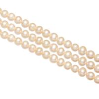 Perlas Redondas Freshwater, Perlas cultivadas de agua dulce, Esférico, natural, Rosado, 8-9mm, agujero:aproximado 0.8mm, Vendido para aproximado 15.3 Inch Sarta