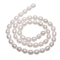 Perlas Arroz Freshwater, Perlas cultivadas de agua dulce, natural, Blanco, 6-7mm, agujero:aproximado 0.8mm, Vendido para aproximado 14.5 Inch Sarta