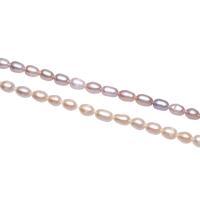 Cultured Rice Freshwater Pearl Beads, natural, more colors for choice, 5-6mm, Hole:Approx 0.8mm, Sold Per Approx 14.5 Inch Strand