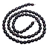 Perlas Arroz Freshwater, Perlas cultivadas de agua dulce, Negro, 4-5mm, agujero:aproximado 0.8mm, Vendido para aproximado 15.7 Inch Sarta