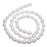 Cultured Rice Freshwater Pearl Beads, natural, white, 6-7mm, Hole:Approx 0.8mm, Sold Per Approx 15.7 Inch Strand