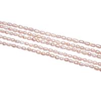 Barock odlad sötvattenspärla pärlor, Freshwater Pearl, Nuggets, naturlig, rosa, 3-4mm, Hål:Ca 0.8mm, Såld Per Ca 15 inch Strand