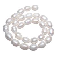 Perlas Arroz Freshwater, Perlas cultivadas de agua dulce, natural, Blanco, 11-12mm, agujero:aproximado 0.8mm, Vendido para aproximado 15 Inch Sarta