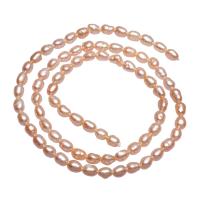 Barock odlad sötvattenspärla pärlor, Freshwater Pearl, Nuggets, naturlig, rosa, 3-4mm, Hål:Ca 0.8mm, Såld Per Ca 15.3 inch Strand