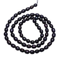 Brambor pěstované sladkovodní perle, Sladkovodní Pearl, černý, 4-5mm, Otvor:Cca 0.8mm, Prodáno za Cca 15 inch Strand