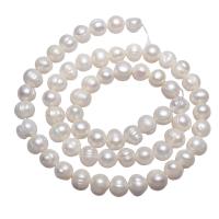 Perlas Patata Freshwater, Perlas cultivadas de agua dulce, natural, Blanco, 6-7mm, agujero:aproximado 0.8mm, Vendido para aproximado 15 Inch Sarta