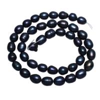 Cultured Potato Freshwater Pearl Beads, black, 8-9mm, Hole:Approx 0.8mm, Sold Per Approx 14.5 Inch Strand