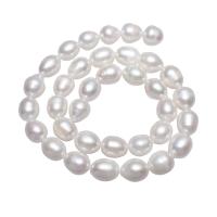 Perlas Patata Freshwater, Perlas cultivadas de agua dulce, natural, Blanco, 10-11mm, agujero:aproximado 0.8mm, Vendido para aproximado 15.5 Inch Sarta
