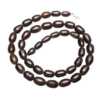 Cultured Rice Freshwater Pearl Beads, coffee color, 6-7mm, Hole:Approx 0.8mm, Sold Per Approx 15 Inch Strand