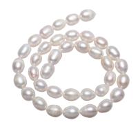 Perlas Arroz Freshwater, Perlas cultivadas de agua dulce, natural, Blanco, 8-9mm, agujero:aproximado 0.8mm, Vendido para aproximado 15 Inch Sarta