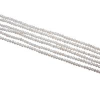 Cultured Potato Freshwater Pearl Beads, natural, white, 2.5-3mm, Hole:Approx 0.8mm, Sold Per Approx 15 Inch Strand
