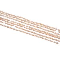 Cultured Rice Freshwater Pearl Beads, natural, pink, 2-2.5mm, Hole:Approx 0.8mm, Sold Per Approx 15.5 Inch Strand