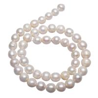 Perlas Patata Freshwater, Perlas cultivadas de agua dulce, natural, Blanco, 9-10mm, agujero:aproximado 0.8mm, Vendido para aproximado 15.7 Inch Sarta