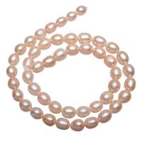 Perlas Patata Freshwater, Perlas cultivadas de agua dulce, natural, Rosado, 6-7mm, agujero:aproximado 0.8mm, Vendido para aproximado 15.5 Inch Sarta