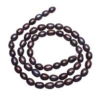 Rice ferskvandskulturperle Beads, Ferskvandsperle, Ris, sort, 5-6mm, Hole:Ca. 0.8mm, Solgt Per Ca. 16 inch Strand