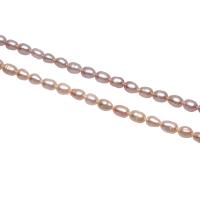 Cultured Rice Freshwater Pearl Beads, natural, more colors for choice, 3-4mm, Hole:Approx 0.8mm, Sold Per Approx 15.3 Inch Strand