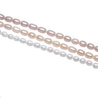 Cultured Rice Freshwater Pearl Beads, natural, more colors for choice, 5-6mm, Hole:Approx 0.8mm, Sold Per Approx 15 Inch Strand