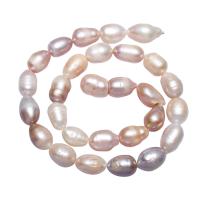 Barocco coltivate in acqua dolce Perla, perla d'acquadolce coltivata naturalmente, Pepite, naturale, rosa, 10-11mm, Venduto per Appross. 15 pollice filo