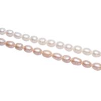 Perlas Arroz Freshwater, Perlas cultivadas de agua dulce, natural, más colores para la opción, 6-7mm, Vendido para aproximado 14.5 Inch Sarta