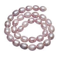 Brambor pěstované sladkovodní perle, Sladkovodní Pearl, přírodní, nachový, 10-11mm, Prodáno za Cca 15.7 inch Strand