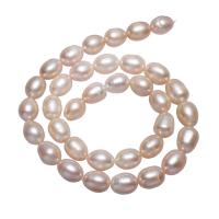 Perlas Patata Freshwater, Perlas cultivadas de agua dulce, natural, Rosado, 9-10mm, agujero:aproximado 0.8mm, Vendido para aproximado 15 Inch Sarta