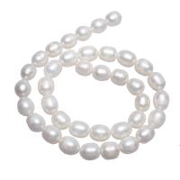 Riso coltivato in perla d'acqua dolce, perla d'acquadolce coltivata naturalmente, naturale, bianco, 9-10mm, Foro:Appross. 0.8mm, Venduto per Appross. 15 pollice filo